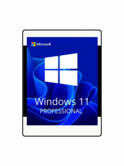 windows 11 profesional 1 pc