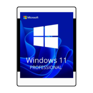 windows 11 profesional 1 pc